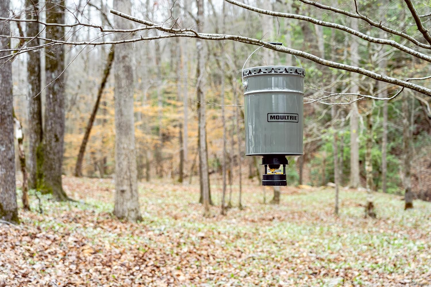 Moultrie feeder hanging from a tree limb