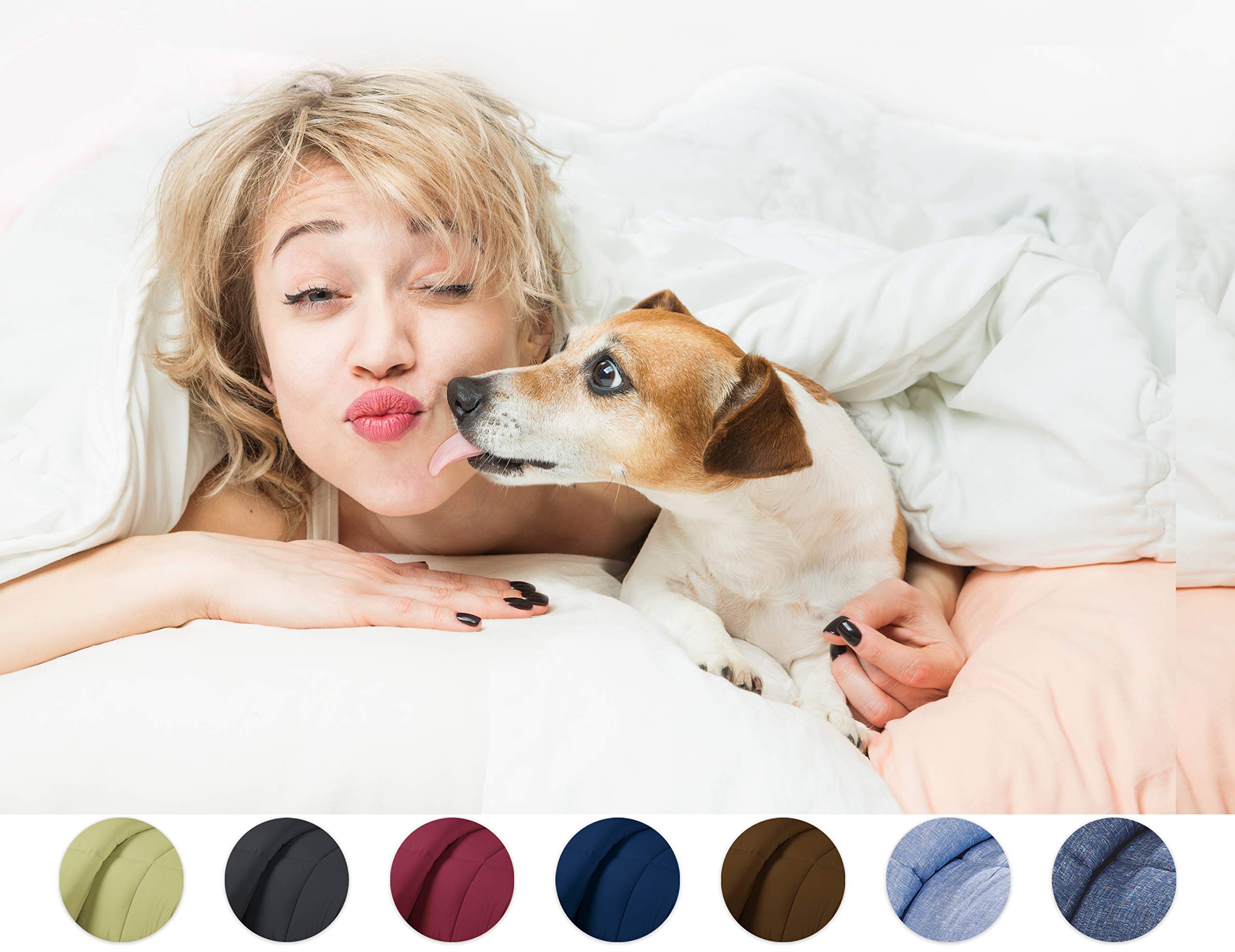 1-Piece All Season Luxurious 800TC Down Alternative Comforter, 100% Egyptian Cotton 100 GSM Comforter Only- Hospital Twin Wine Solid