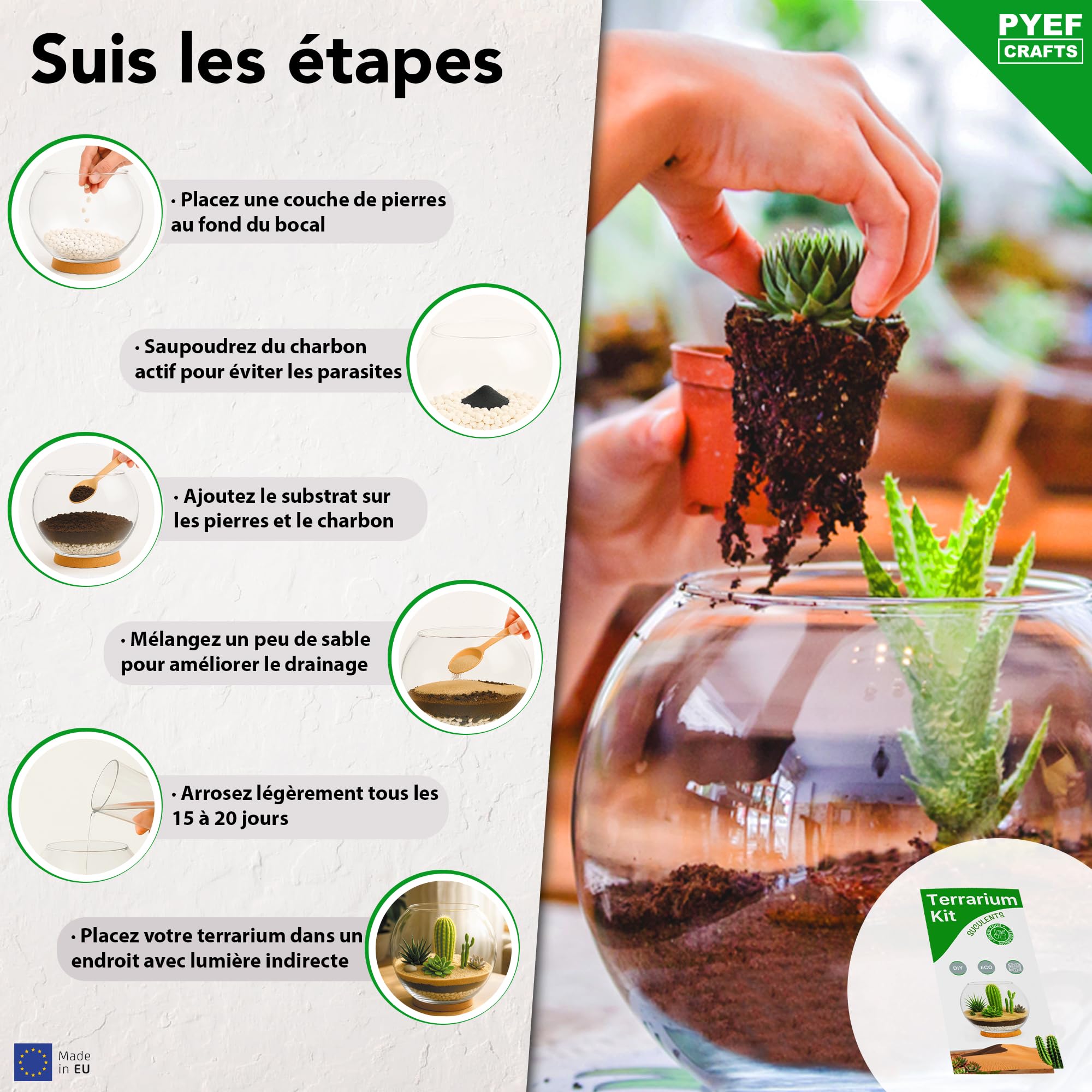 Kit terrarium plantes succulentes et cactus DIY - Ecosystème désertique en verre - Aquarium naturel pour plantes souches et cactus - Jardin éternel