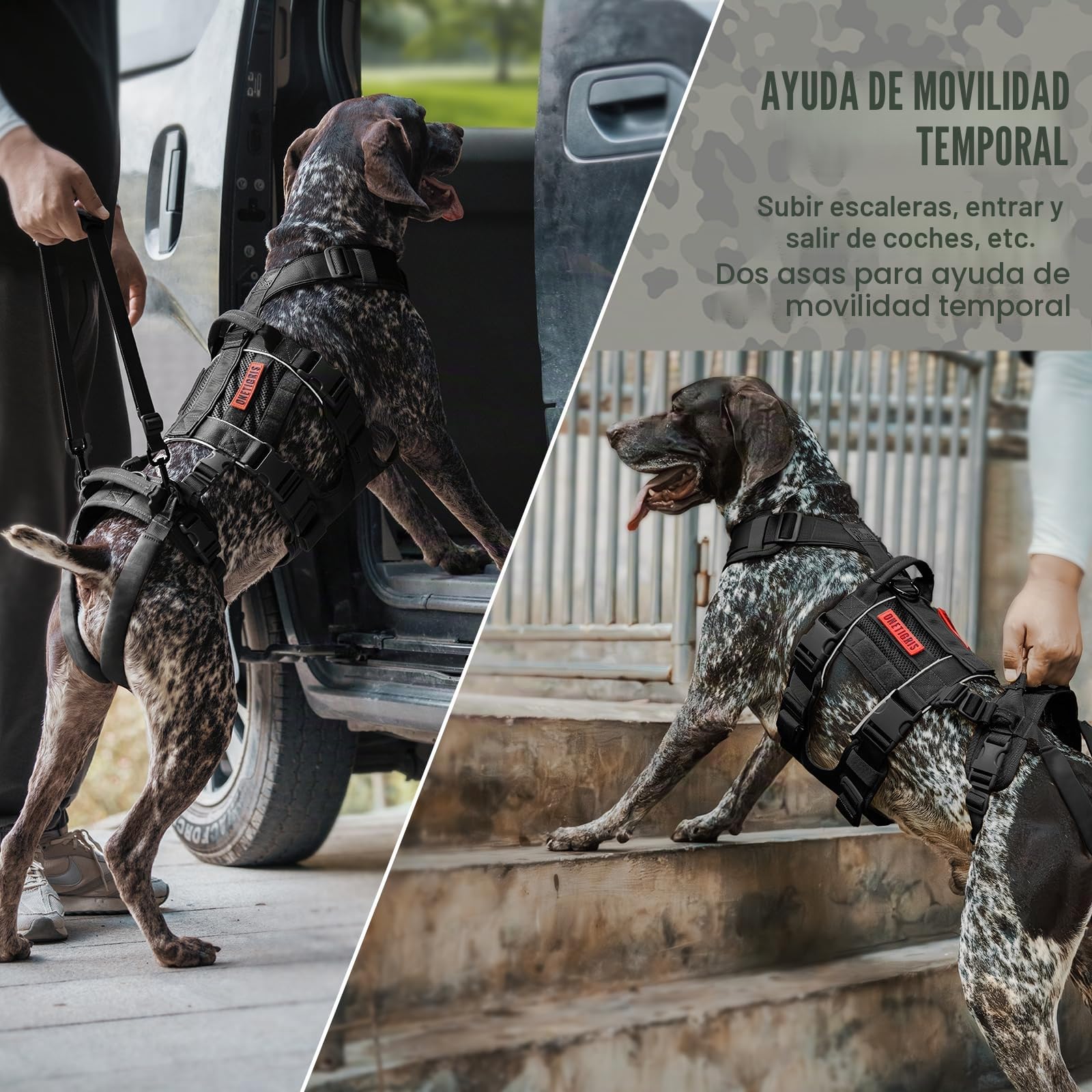 OneTigris SKYEWALKER - Arnés para perros ajustable con 2 asas para elevación y rehabilitación, adecuado para perros medianos y grandes, negro, M