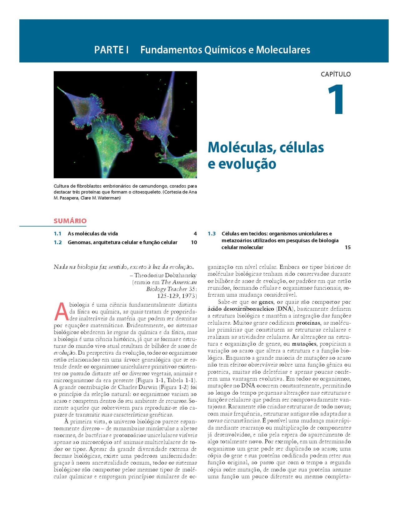 Biologia Celular e Molecular (Em Portuguese do Brasil)