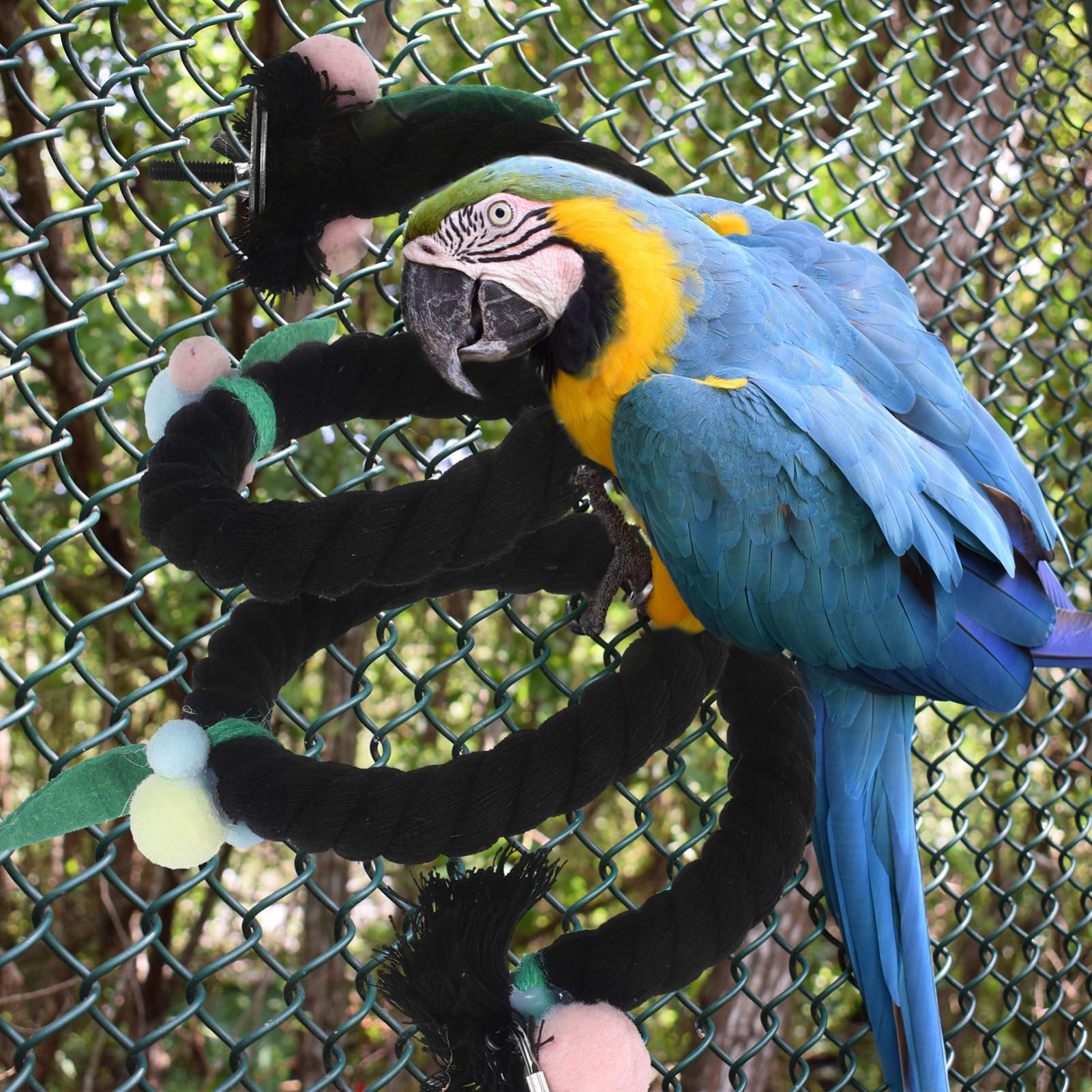 BESPORTBLE 4pièces Balancelle Corde pour Oiseaux Support pour Perroquet Accessoire De Jouet pour Cage à Oiseaux pour Grimper Et Reposer