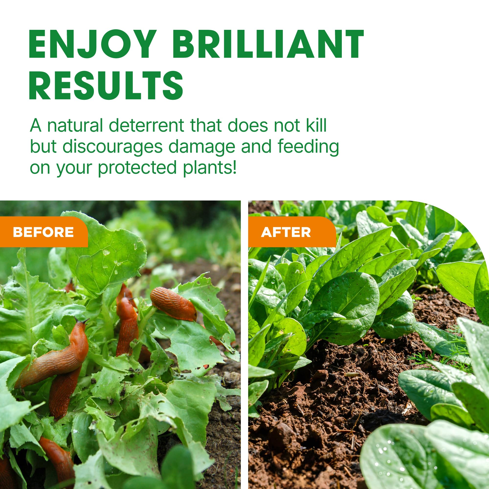Ruban Adhésif En Cuivre Anti-limaces Et Escargots - 4 Mètres - Protection Naturelle Pour Jardin - 5