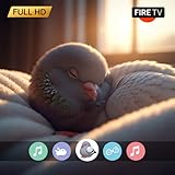 Pigeon Plaza 4K: Calming Coos & Urban Wildlife Scenes