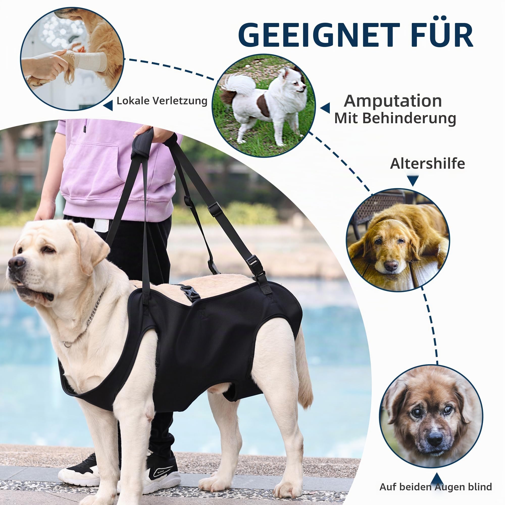 Hunde-Hebegeschirr, Notfall-Rucksack-Haustier-Bein-Unterstützung & Rehabilitation Hundeträger, Verstellbare Hebegurte für Senioren, Alte Hunde, Gelenkverletzungen, Größe XL, Schwarz