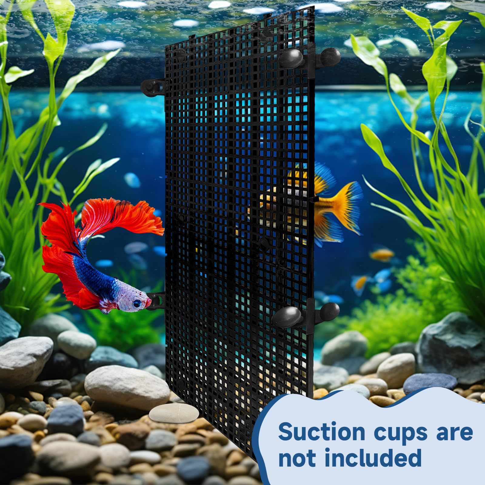 Lot de 12 grilles de séparation pour aquarium de 29 x 15 cm avec 72 supports, panneau de filet séparateur d'aquarium, séparateur de caisse à œufs pour isolation du fond d'aquarium (noir)