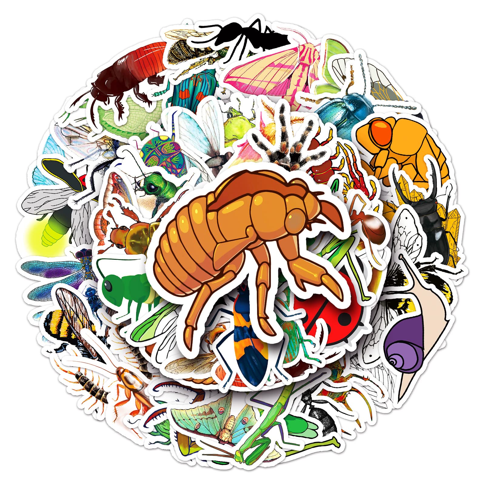 50Pcs Insect Stickers Laptop Car Scrapbook Phone Skateboard Suitcase Luggage Bike Bug Stickers Vinyl Waterproof Aesthetic Personalised Stickers for Teens Boys Girls Adults Children