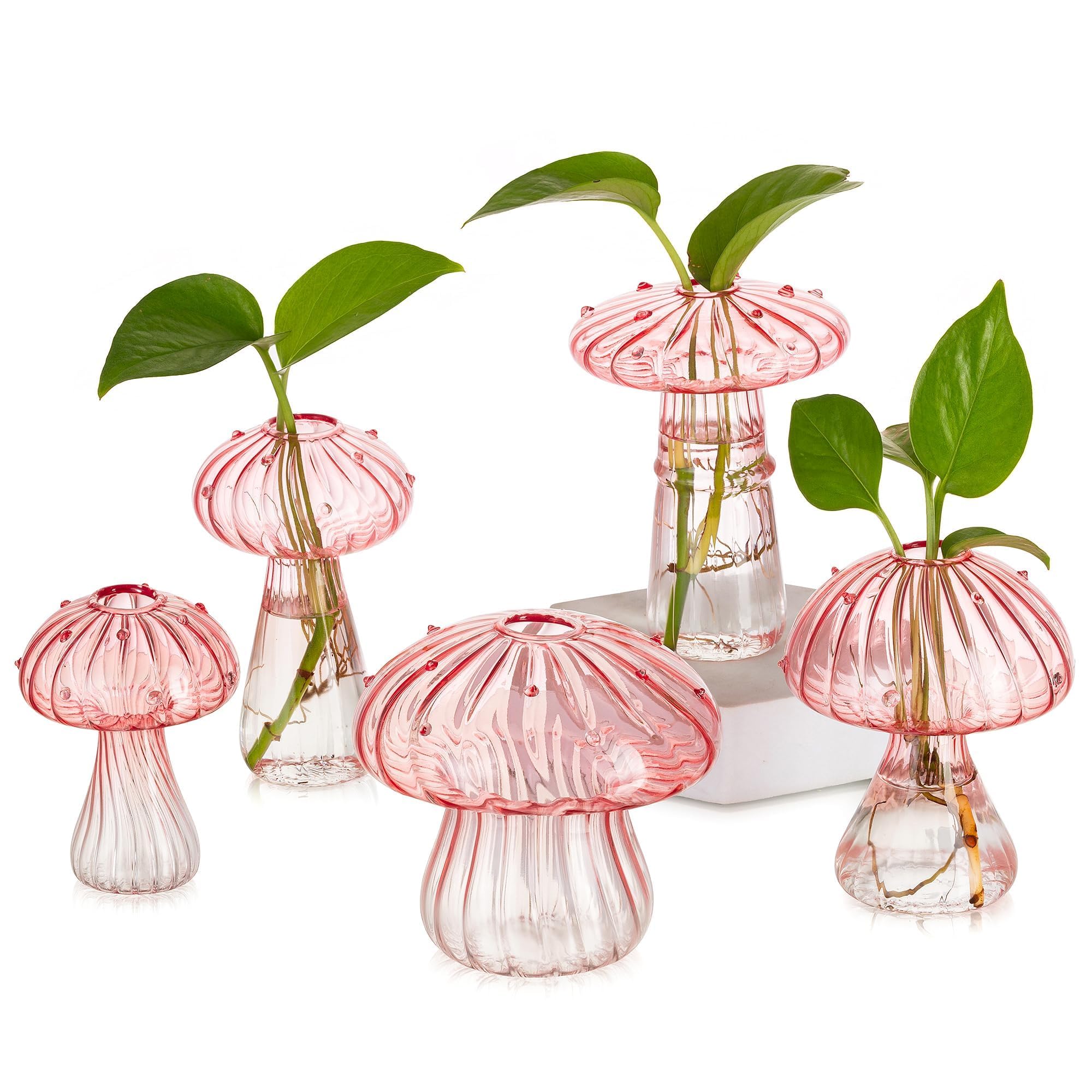 Glasseam Mushroom Plant Propagation Stations: Pink Glass Terrarium Jar Set of 5 Cute Planters for Indoor Plants Decorative Propagate Station Unique Christmas Birthday Gifts for Women Home Office Decor - 2