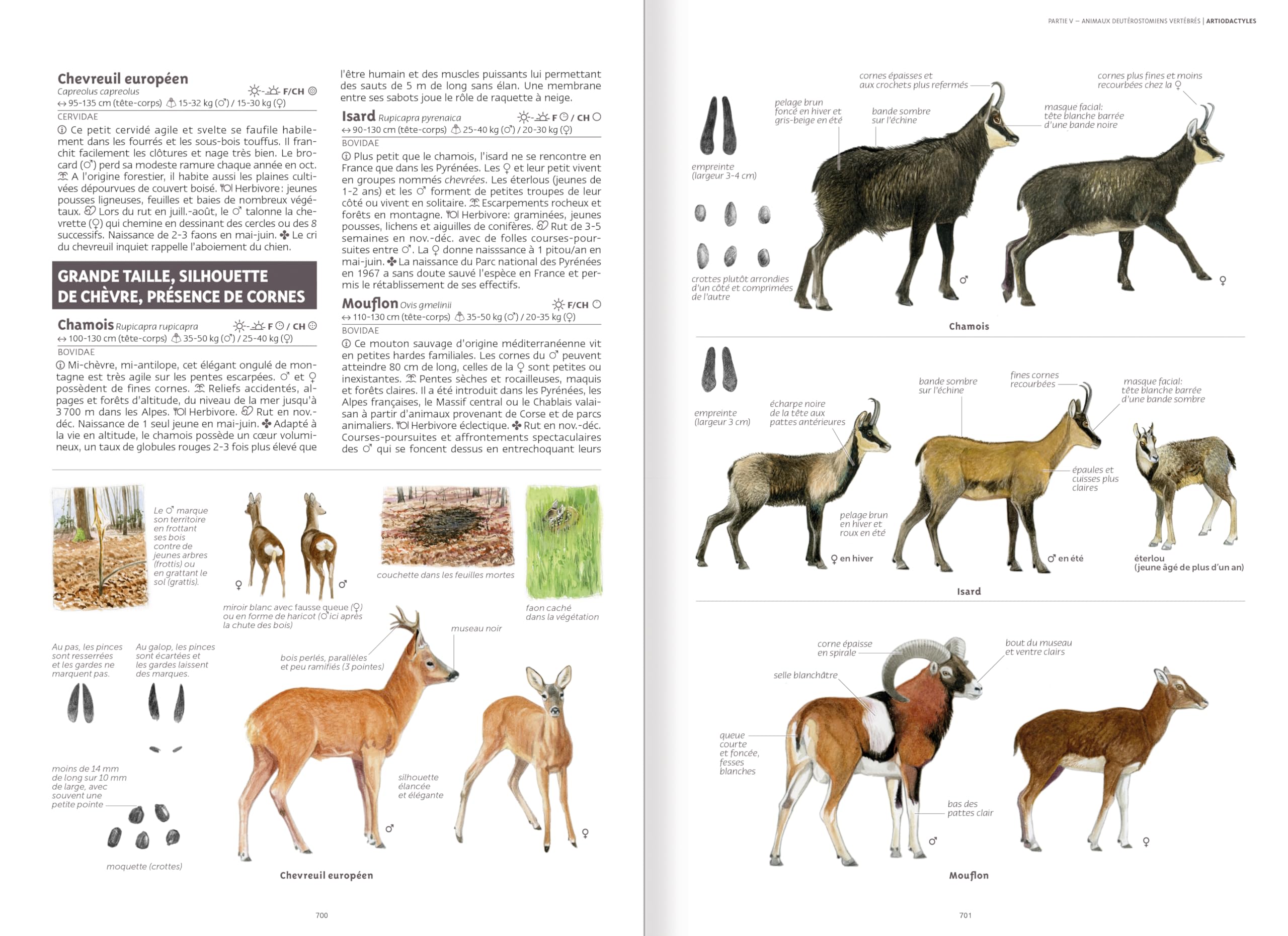 Le grand guide de la nature