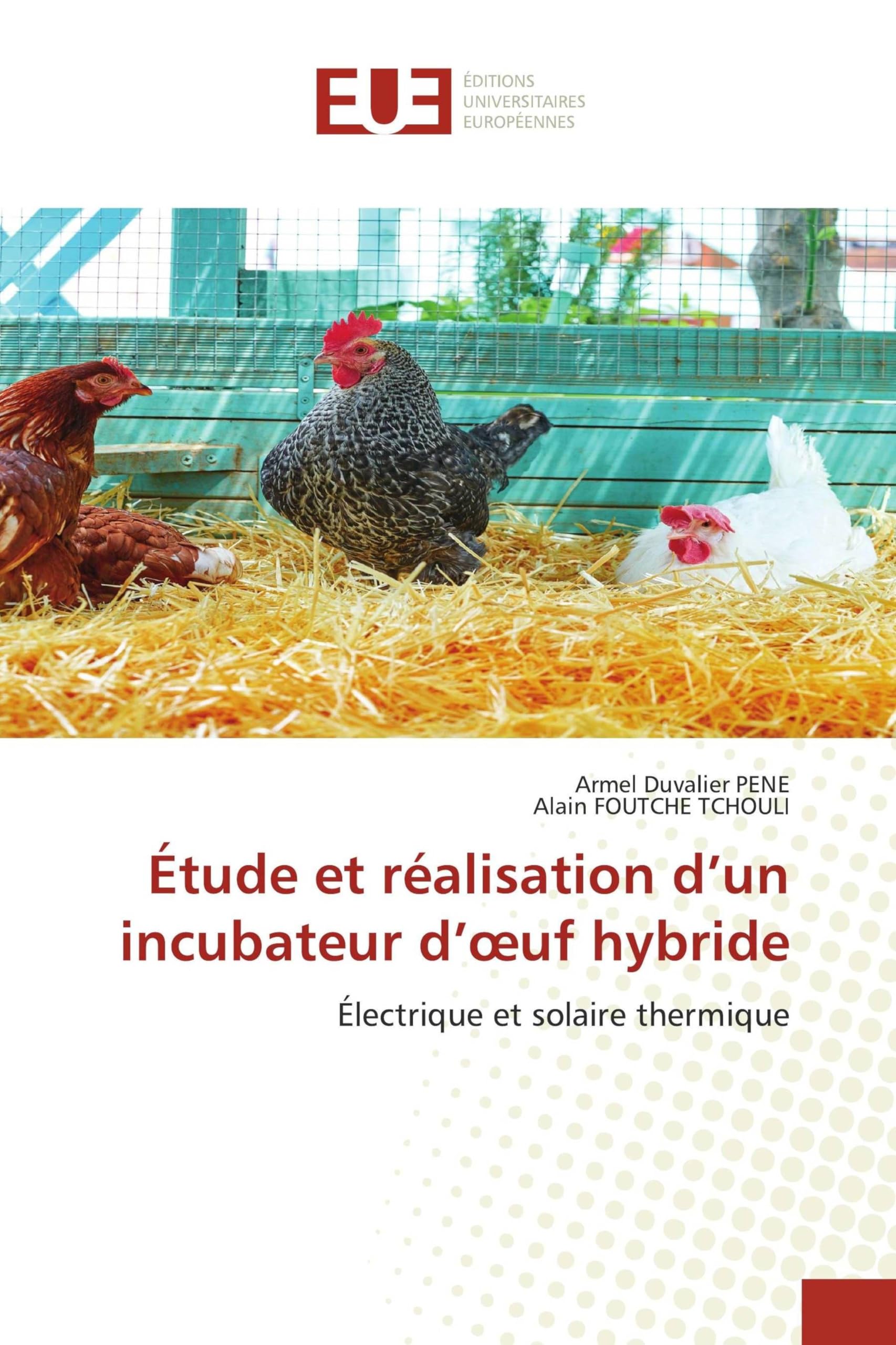 Étude et réalisation d'un incubateur d'oeuf hybride: Électrique et solaire thermique