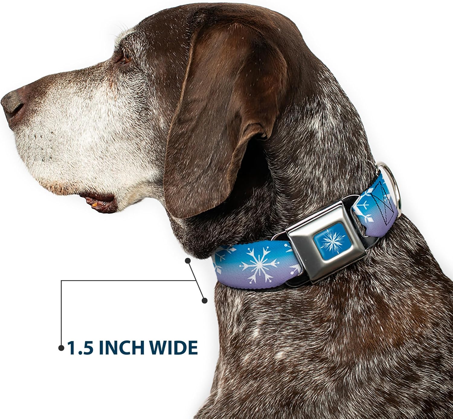 Disney Pet Collar, Dog Collar Metal Seatbelt Buckle, Frozen 2 Snowflakes Blues Purples White, 15 to 24 Inches 1.0 Inch Wide