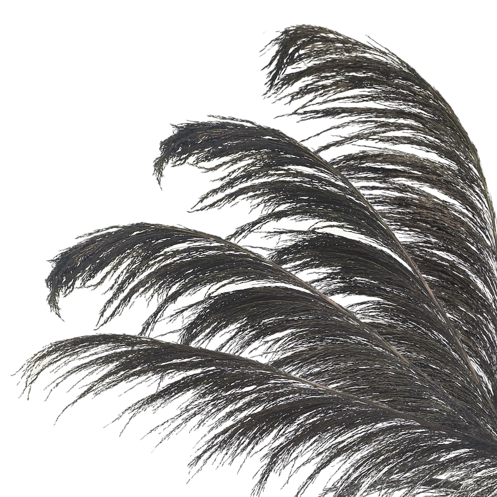 Pampas Grass Decor Tall,Pampas Grandes Florales esponjosas,Flores de Plumas largas para arreglo de Boda Boho Sala de Estar (8 Piezas de 31"/80cm, Gris)