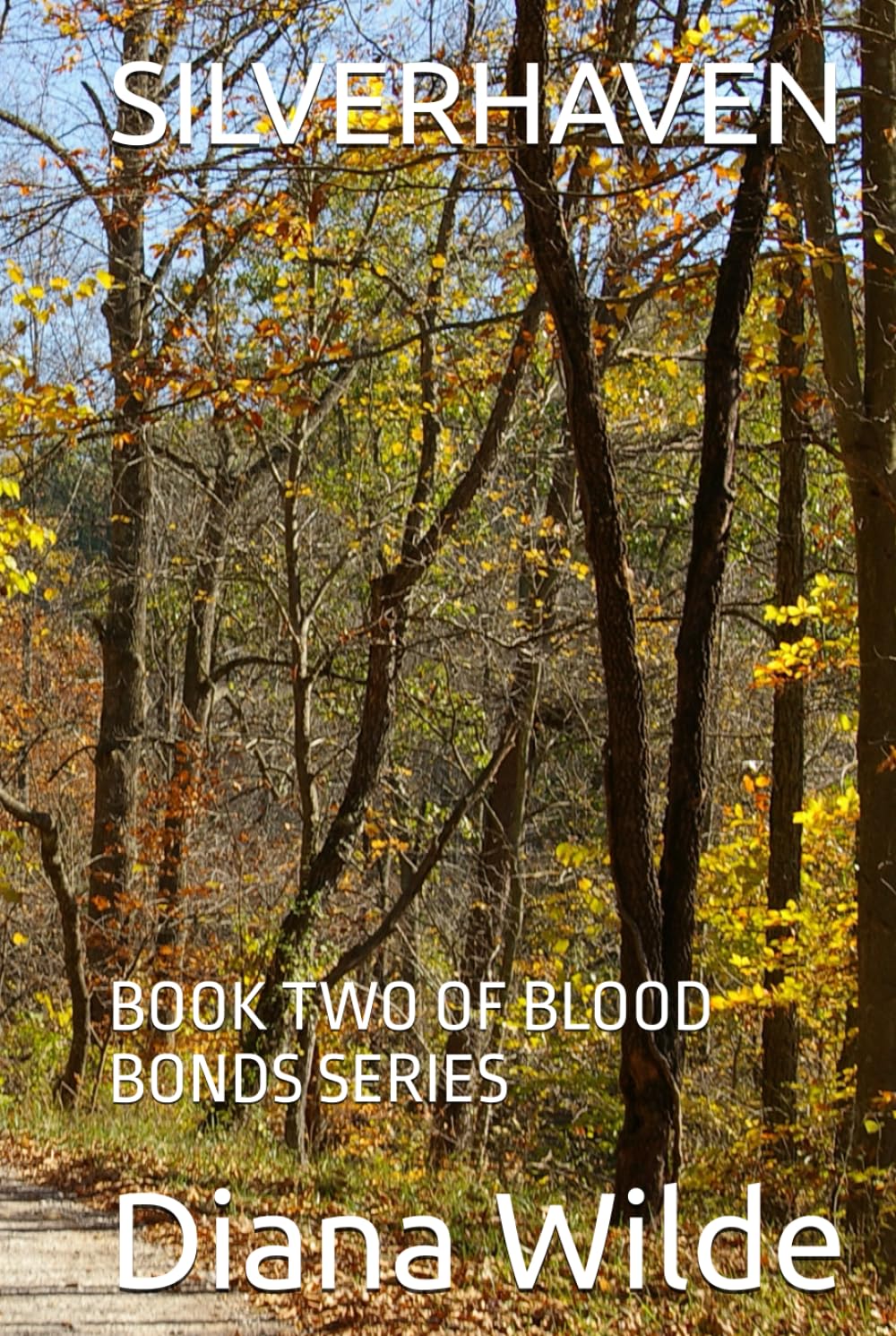 SILVERHAVEN: BOOK TWO OF BLOOD BONDS SERIES