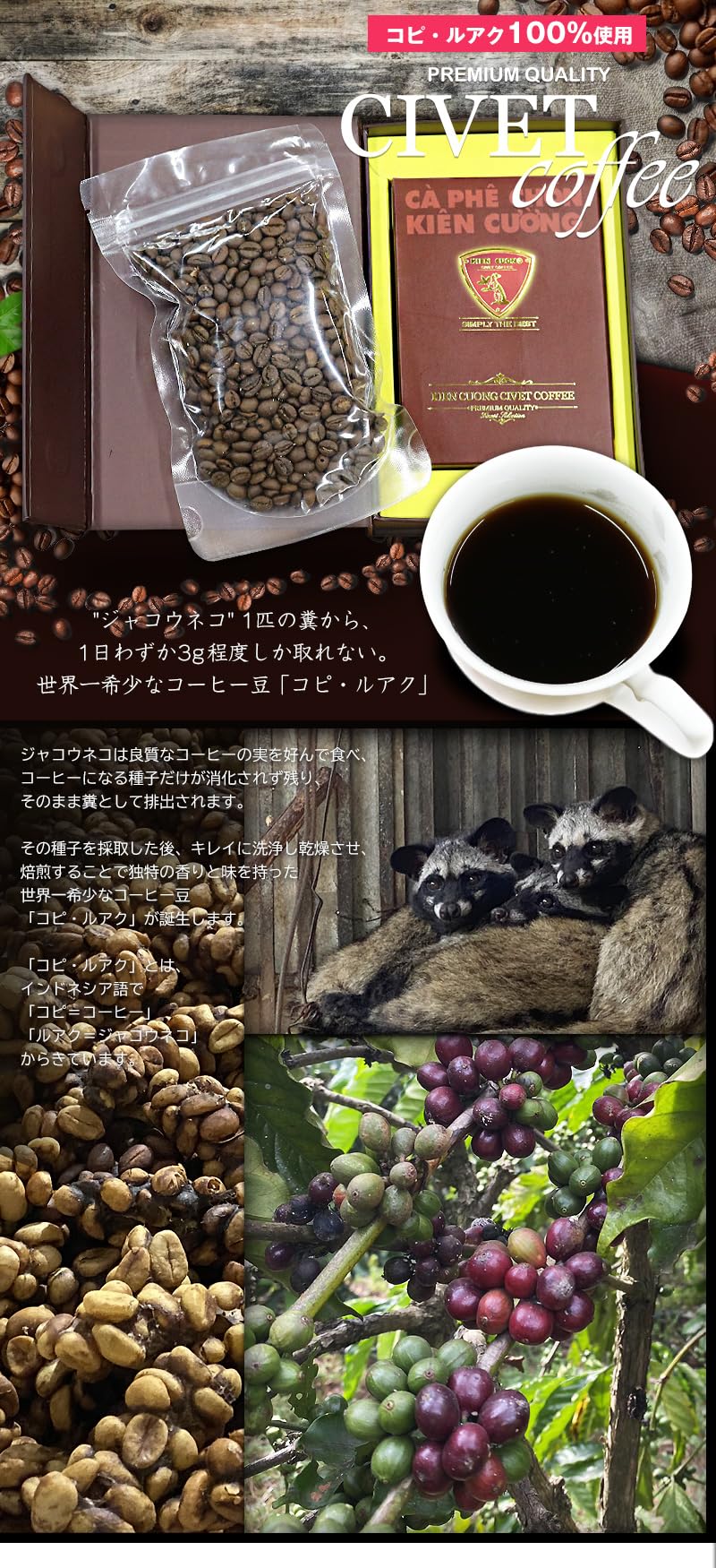 新品　未開封　ジャコウネココーヒー　賞味期限2028.11.17 新品 未開封 ジャコウネココーヒー 賞味期限2028.11.17 新品未開封