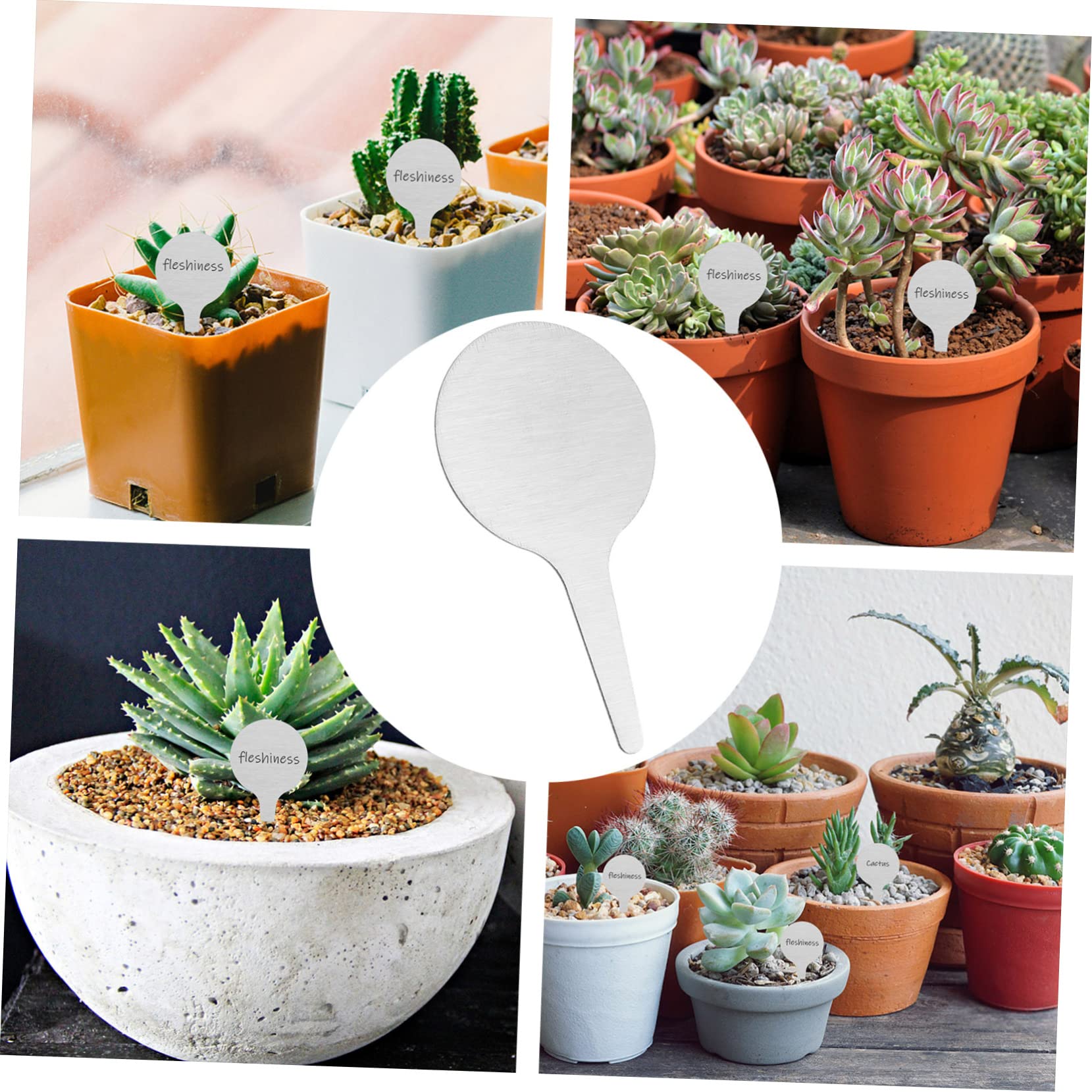 ORFOFE Lot De 3 Étiquettes Rondes En Métal Pour Plantes En Acier Inoxydable Pour Le Jardinage Les Fleurs Et Les Pépinières 50 Pièces X 3