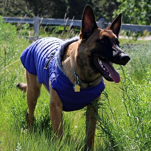 Miniatura 3 de DOGGIE DESIGN Alpine Extreme Weather - Abrigo impermeable para perro (M, azul)