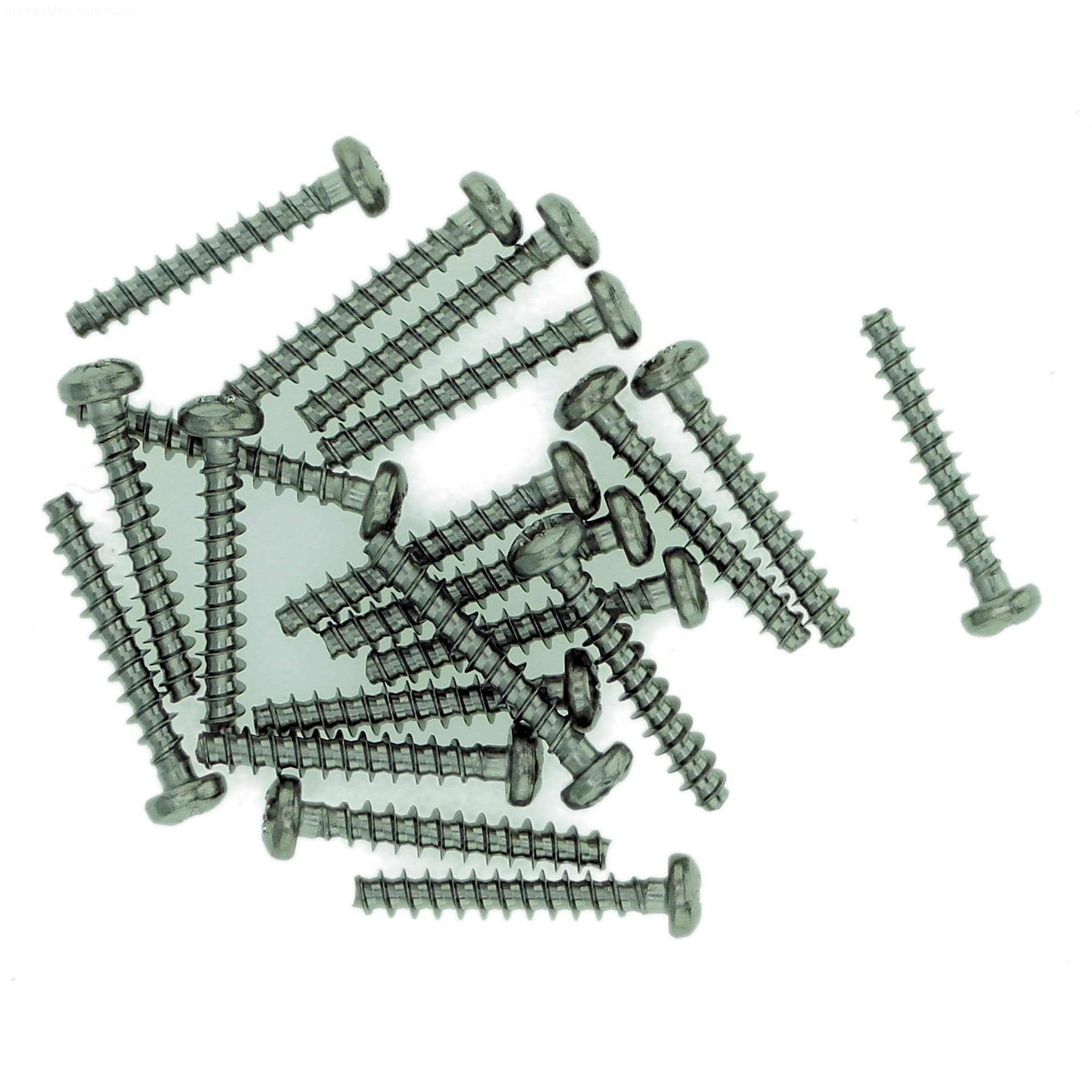 Singularity Supplies D3 (3Mm X 14Mm) Pozi Pan Screws For Plastic - Stainless Steel (A2) (Pack Of 20)