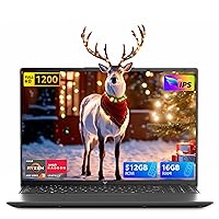 TIVIQUE PC Portatile,Ryzen 4300U Processore(Fino a 3,7 GHz)