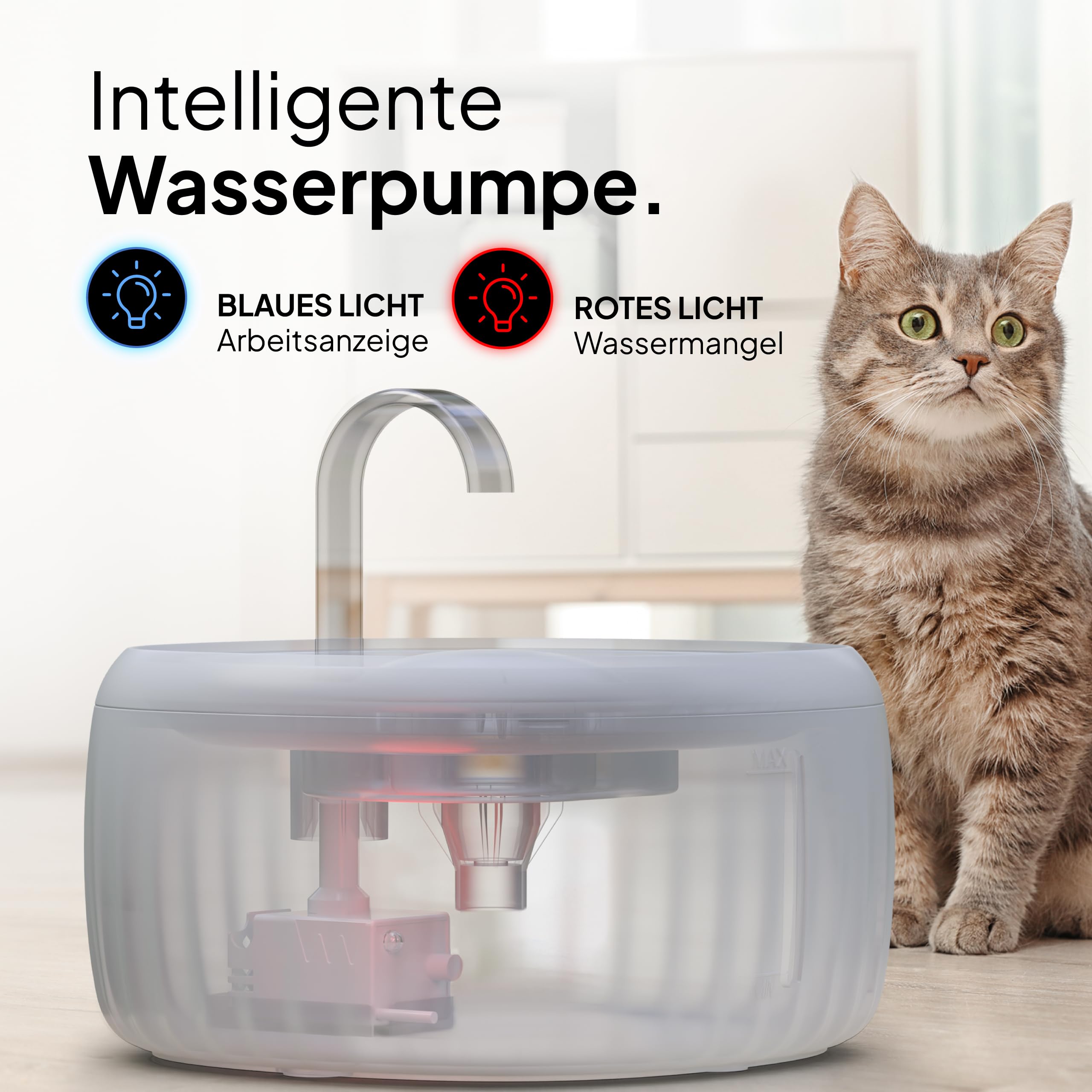 PrettyPaw Katzenbrunnen - Super leiser, BPA-freier 3L Trinkbrunnen für Katze mit LED und Aktivkohlefilter - Leicht zu reinigender Katzen Trinkbrunnen - Aqua Flow (Grau)