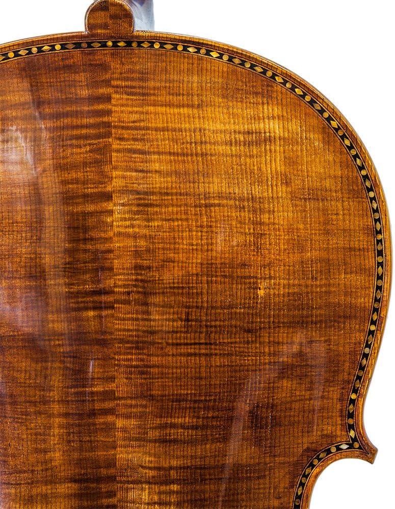 Paititi PTTCE401 Solid Wood Ebony Fitted High Flame 4/4 Cello with Durable Fiber Glass Case, Brazilwood Bow and Rosin