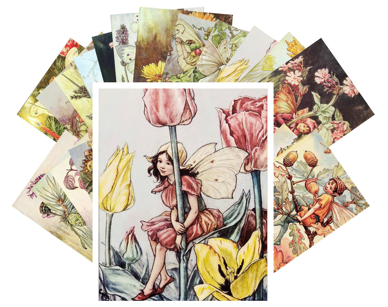 PIXILUV Vintage PostCards 24 pcs Flower Fairy Vintage Book Illustrations