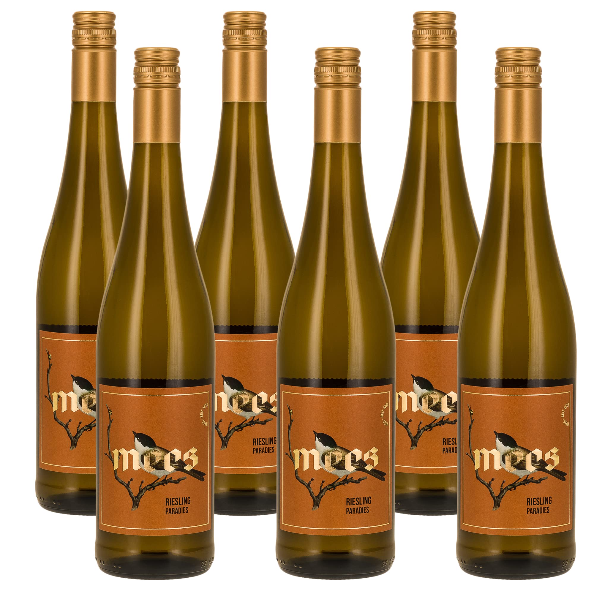 WEINGUT MEES | Riesling 2021 Paradies Weißwein trocken, 6 x 0,75l - Nahe | hochwertiger prämierter Weiss-Wein | Weißwein-Set aus Deutschland | Paket 100% Riesling