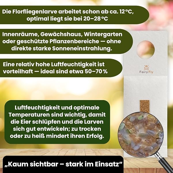 Florfliegenlarven gegen Blattläuse & Wollläuse (5 Karten) – Nützlinge zum Aufhängen für Zimmerpflanzen – biologische Schädlingsbekämpfung ohne Chemie – Florfliegen Eier - 4