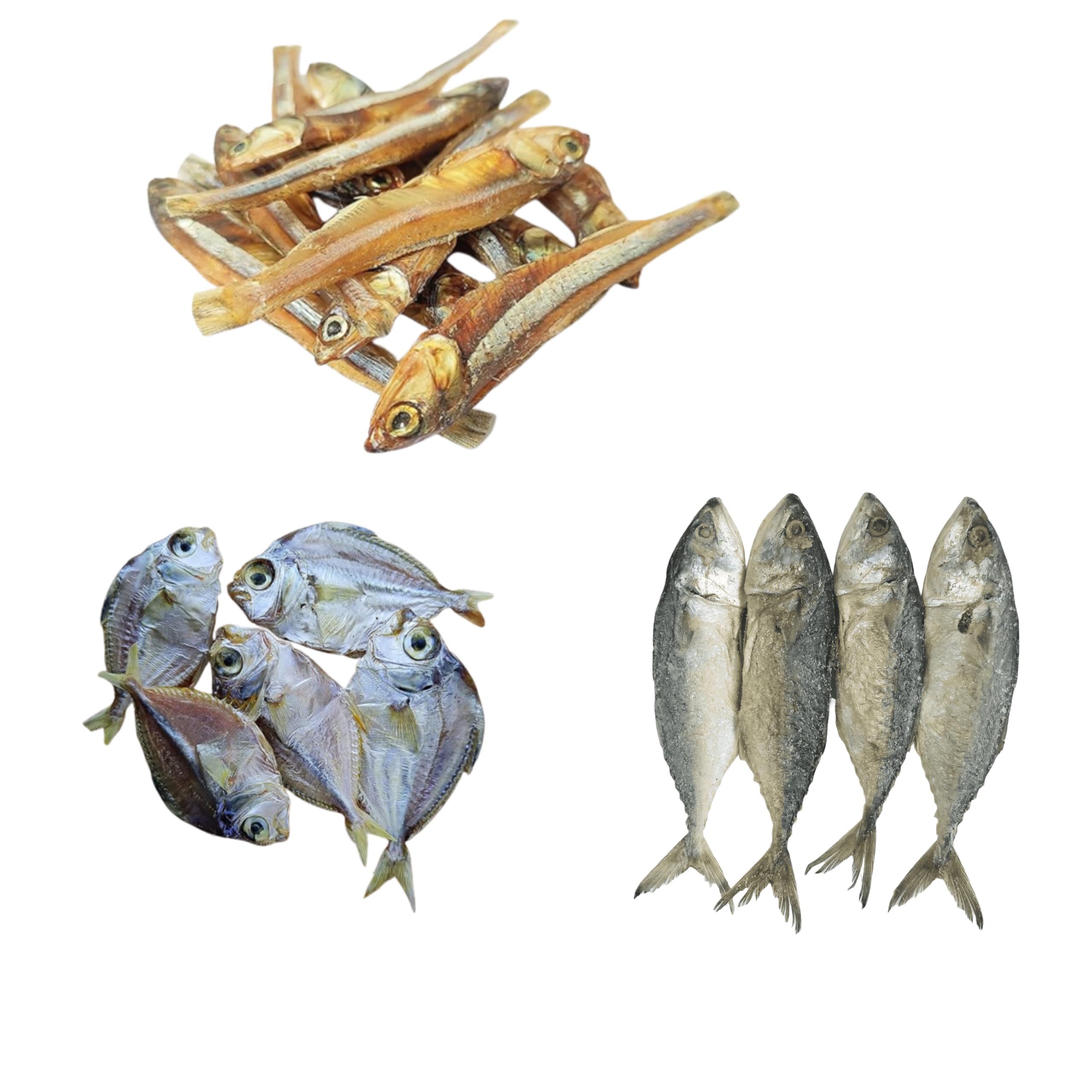 AL-Haqq - Anchovy | Nethili + Silver Belly | Mullan + Mackerel | Ayala Combo (150 Grams)-image-48