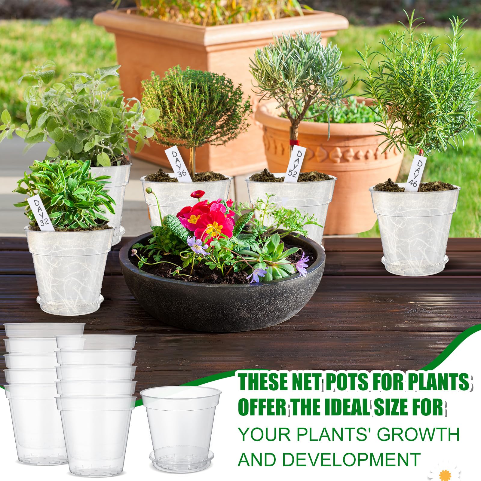 Hushee Lot de 10 pots de fleurs transparents de 20,3 cm avec 10 soucoupes et 100 étiquettes de plantes en plastique transparent avec trou de drainage et plateau d'égouttement pour herbes, fleurs,