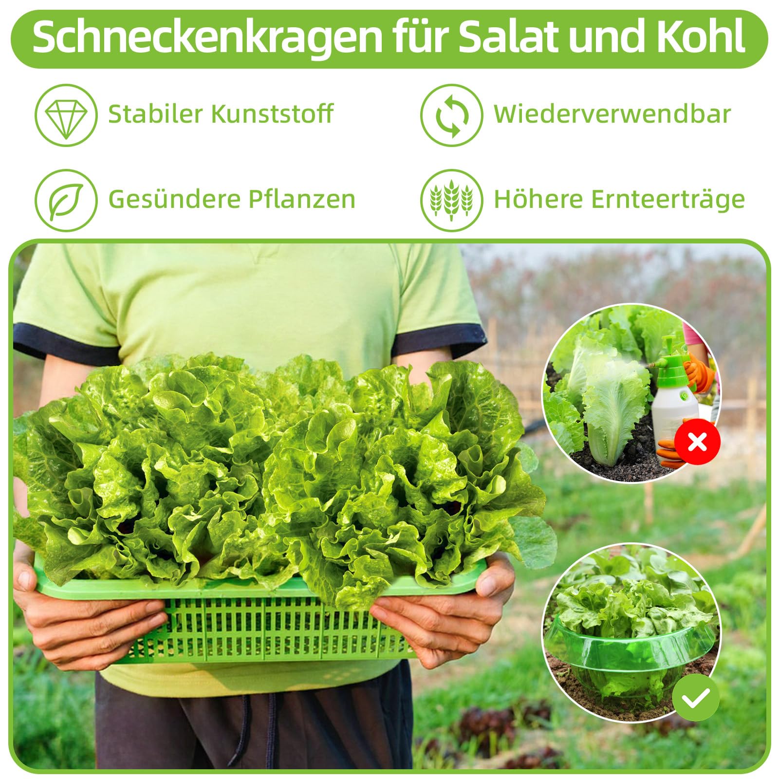 Schneckenkragen, 24 Stück Schneckenschutzringe, Effektiver Schneckenschutz für Salat und Kohl, Schneckenkragen aus Robustem Kunststoff, Wiederwendbare Schneckenabwehr für Gartenpflanzen