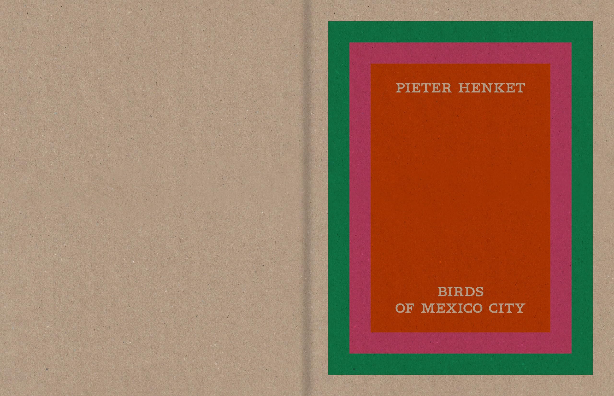 Pieter Henket: Birds of Mexico City