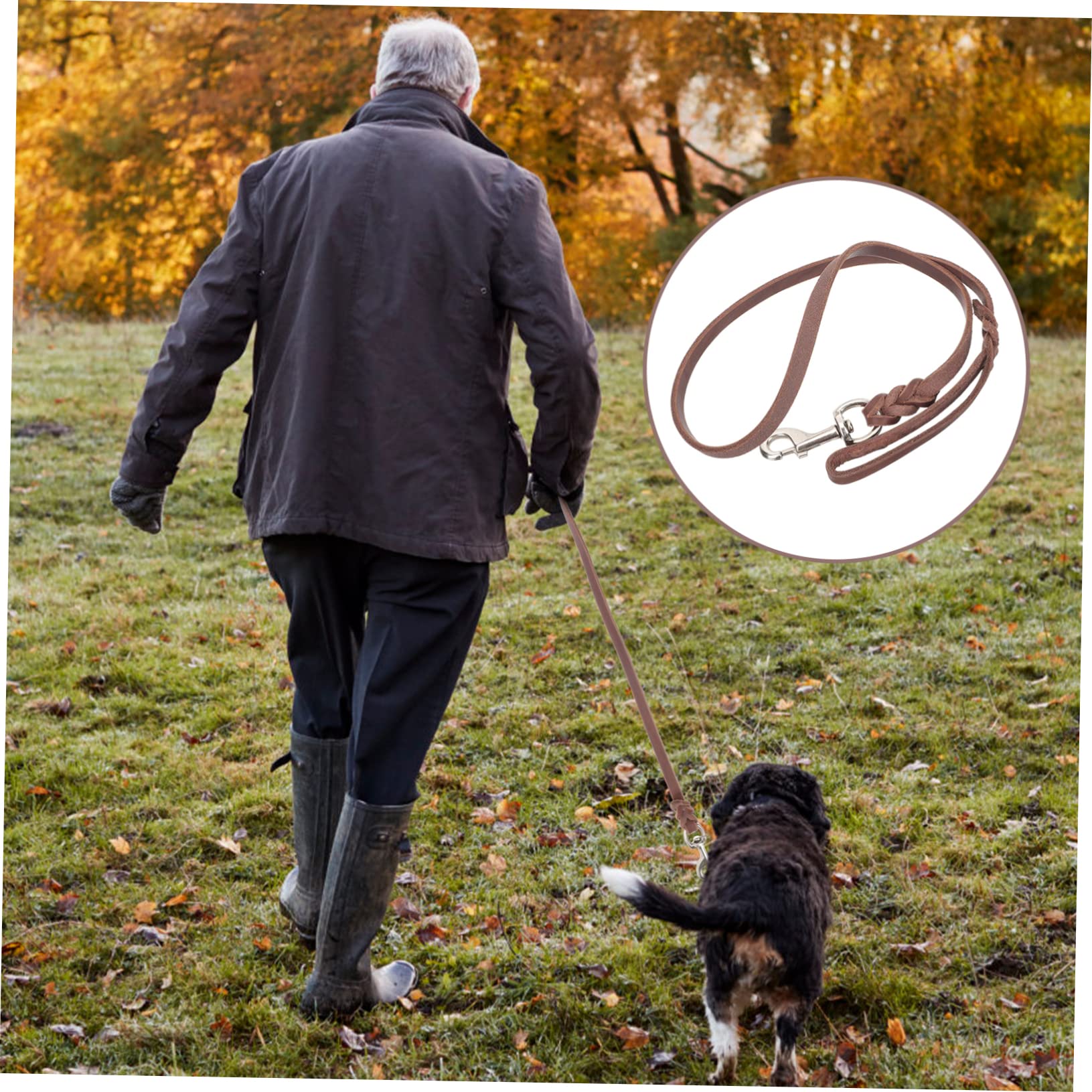 Sosoport 3pezzi Guinzaglio Per Cani Resistente Design Pratico Con Gancio Per Addestramento e Passeggiate Quotidiane Con Tuo Cucciolo