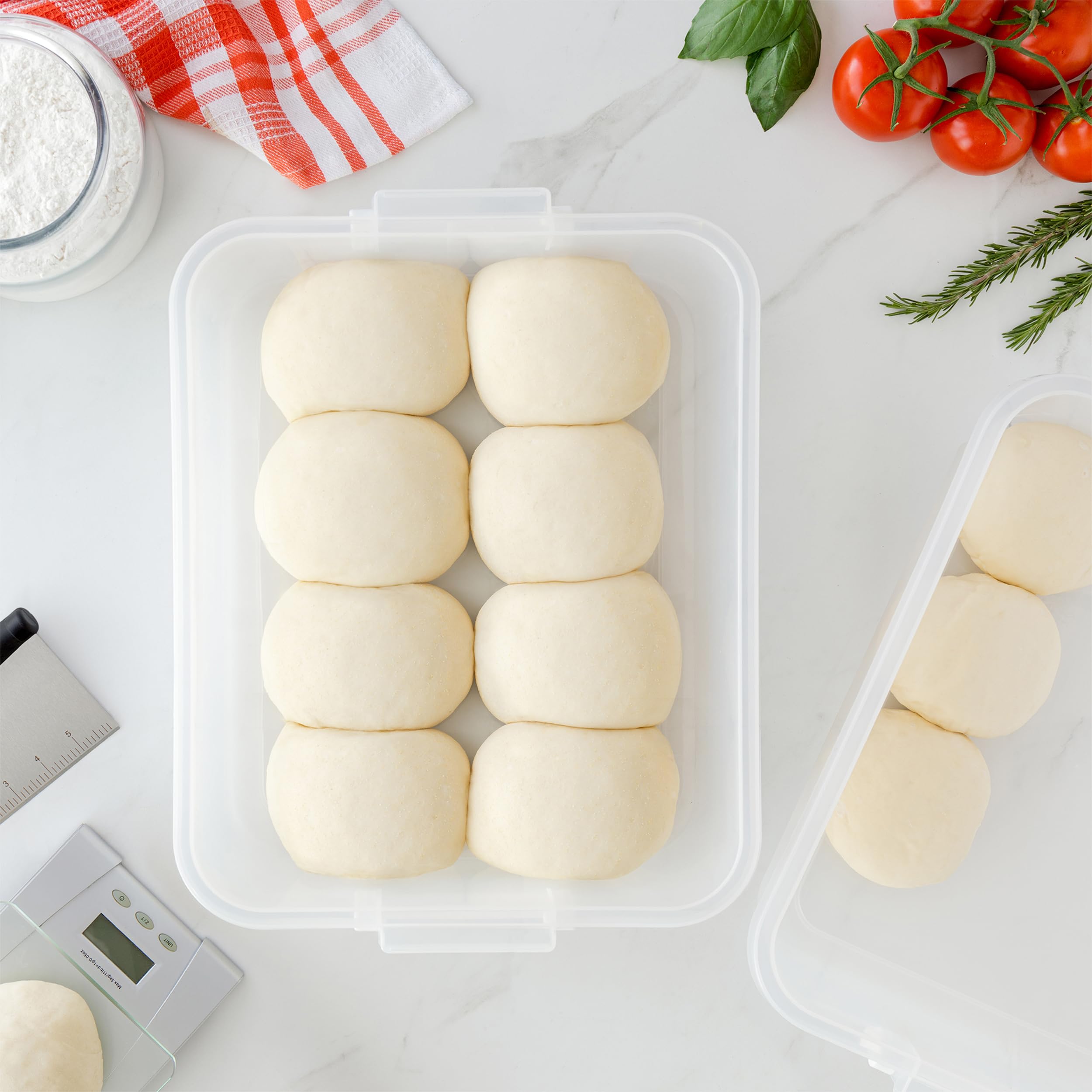 Chef Pomodoro Caja con Tapa para Fermentar Bolas de Masa de Pizza, Contenedor Plástico, Caja Transparente con Práctica Asa de Transporte (Azul, 44 x 34 cm (Paquete de 2))