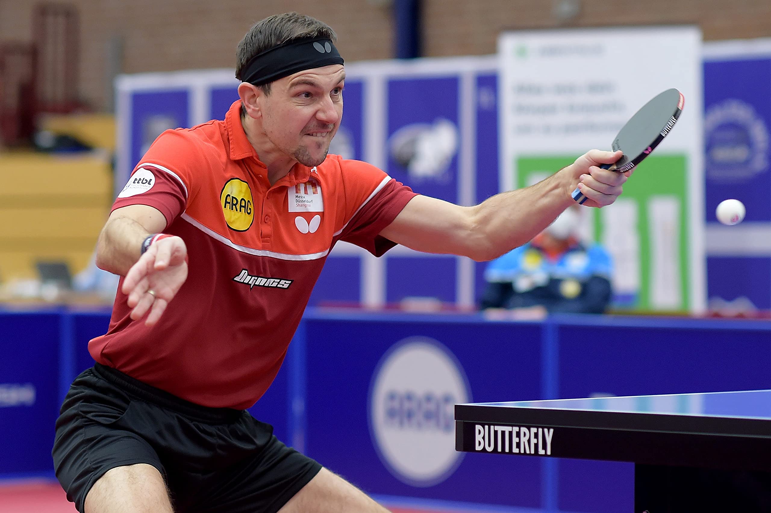 Butterfly Timo Boll - Butterfly Timo Boll - Bate de Tenis de Mesa, Color Plateado Unisex Adulto — view 8