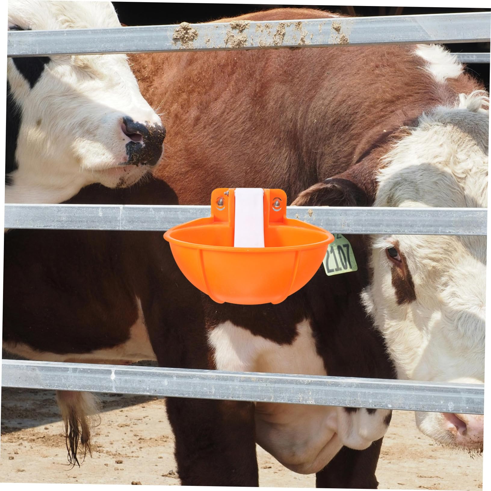 Ciotola per Abbeveraggio Bovini Automatica in Plastico Arancia | Confezione, per Ovini e Cavalli, Lavabile Completamente, Formato Grande Rinforzato