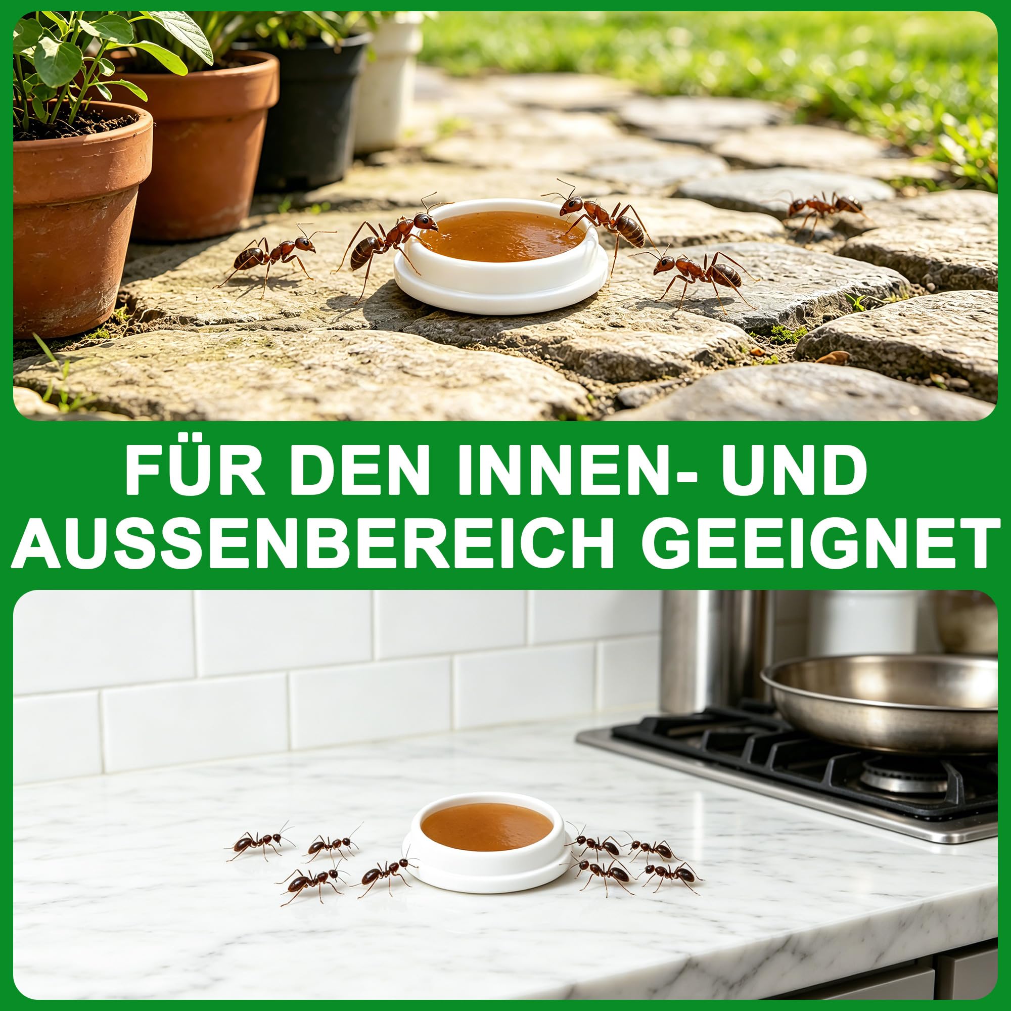 60 Stück Ameisenköderdose für Innen & Außen, Ameisenköder mit Nestwirkung, Natürliches Pfefferminzöl Duftsticks, Praktisch für Haus Garten