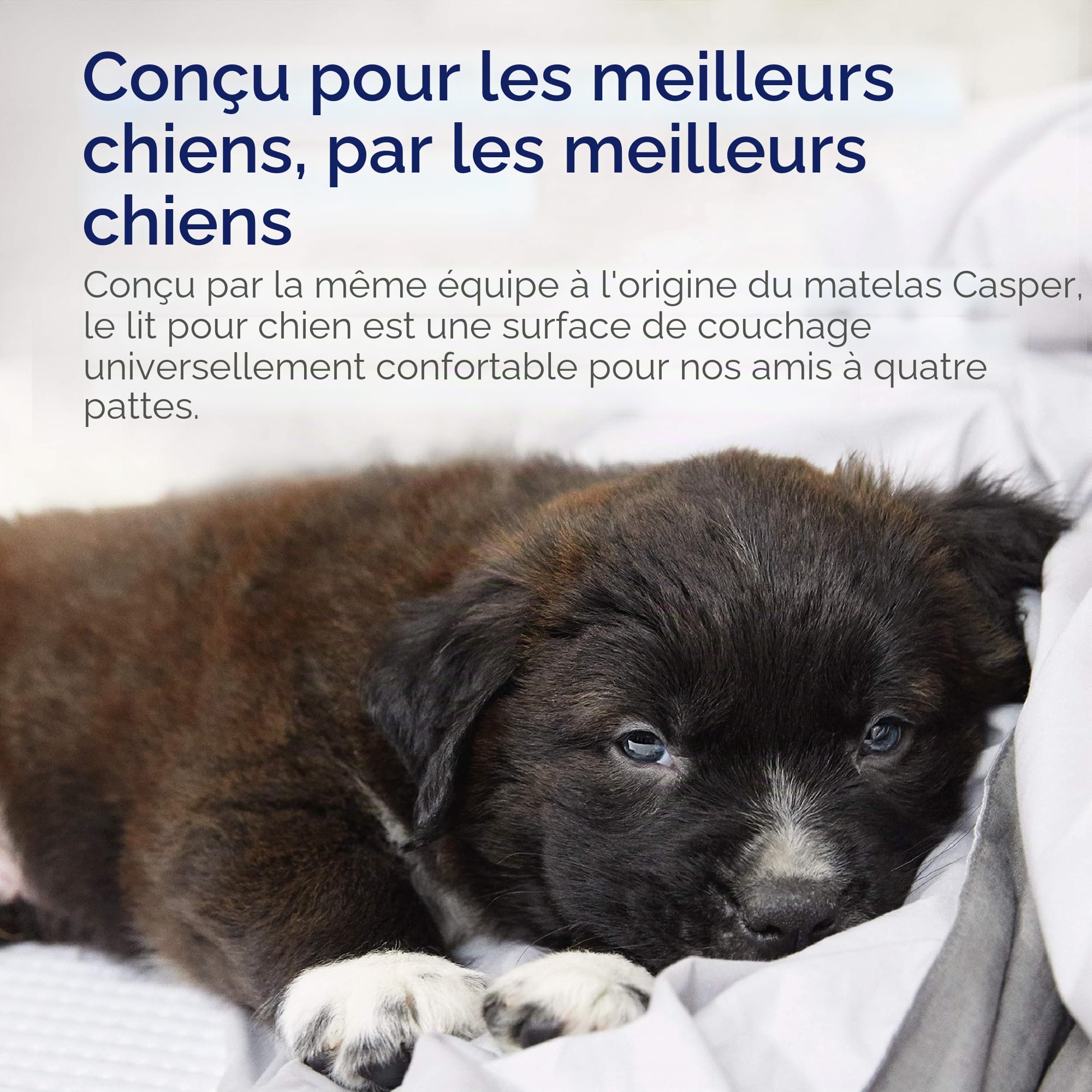 Casper Panier pour Chien en Mousse à mémoire de Forme et Peluche, Gris, Taille S (66 x 48,9 x 15,2 cm)
