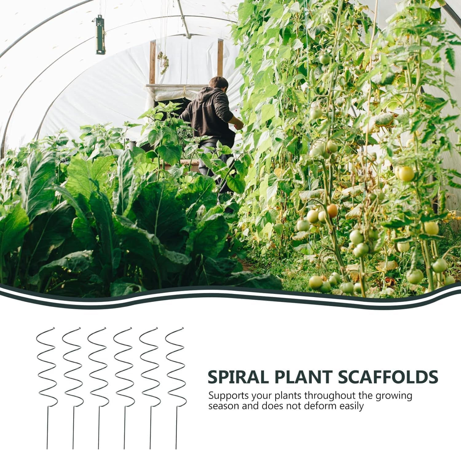 Tutori a spirale per pomodori, nuovi tutori a spirale per pomodori 2025, tutori a spirale in metallo per pomodori per piante in vaso, rampicanti a rosa (A+B 10pcs)