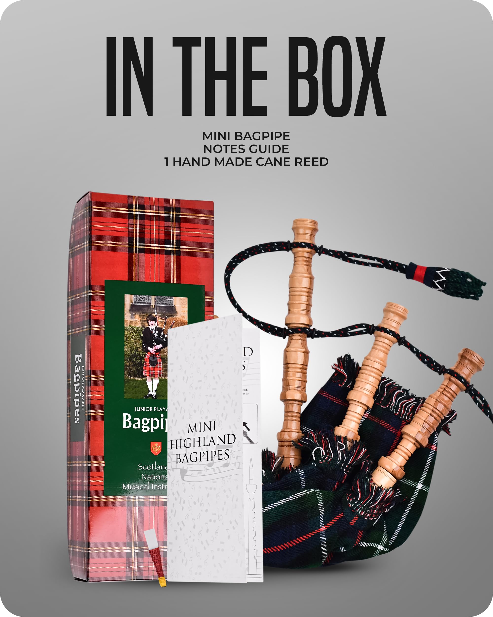 Mini Miniature Bagpipe, Rosewood Bagpipe for Beginners Playable Gift. (Mackenzie) - Image 2