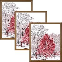 Vista 67 de Dark Brown 12x18 Frame Set of 3 - Rustic Woodgrain 12 x 18 Poster Frame with Plexiglass for Wall Gallery Display, 12x18 Picture Frame for Puzzles