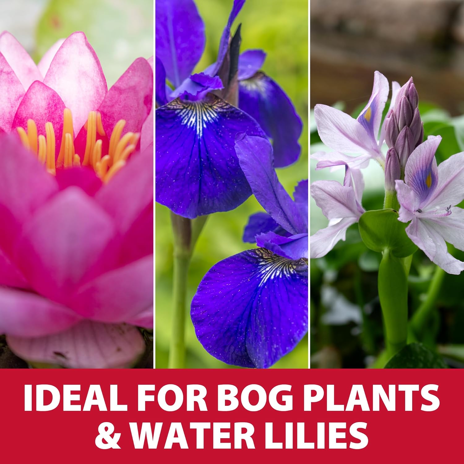 The Pond Guy Planting Bags for Backyard Water Gardens, Durable Mesh Planter Pot for Lily & Bog Plants, Grow Healthy Aquatic Plants, 7-Inch Square
