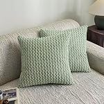 Throw Pillow Covers 18x18 Inch Set of 2 Decorative Velvet Square Spring Farmhouse Pillow Covers for Sofa Couch Cushion Bedroom Home Decor Cream White