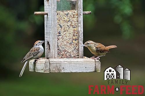 Miniatura 5 de Cuatro estaciones Mezcla de campo Alimento clásico para aves silvestres Pájaro cantor del patio trasero 4 libras