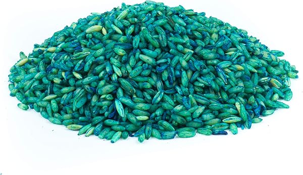 RatKil Rat Poison (6 x25g) Rat Bait & Mouse Poison Grain - Strongest Maximum Strength Rodent Killer - Fast Acting, All Weather, Single Feed Bait Sachets - 3