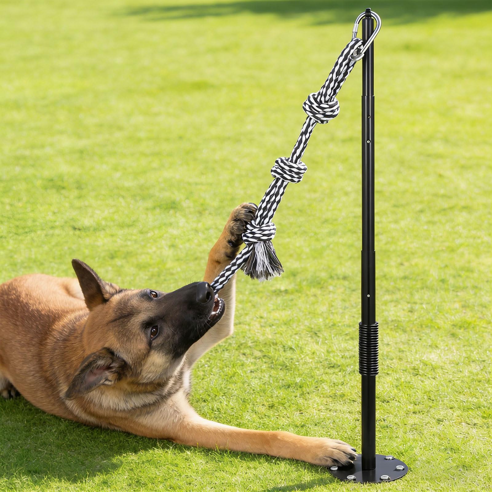 Versátil juguete para perros al aire libre, postes de resorte con correas elásticas para patios traseros, ejercicio divertido y juego seguro, durabilidad