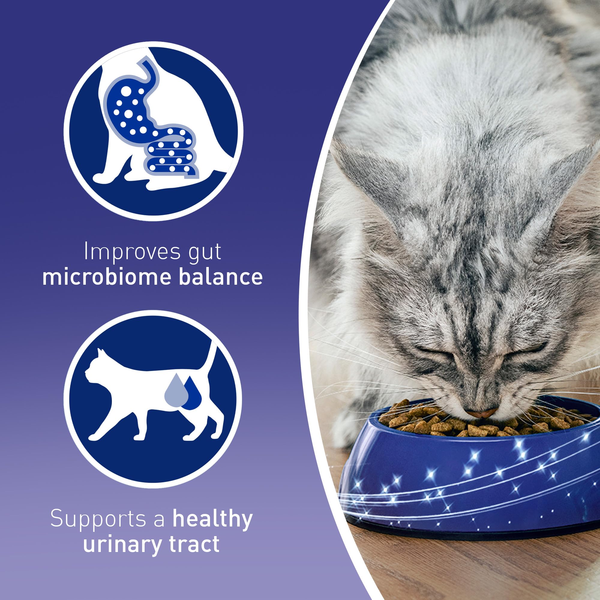 PURINA ONE Bifensis Adult Dry Cat Food Chicken 7.5kg Pack - 4