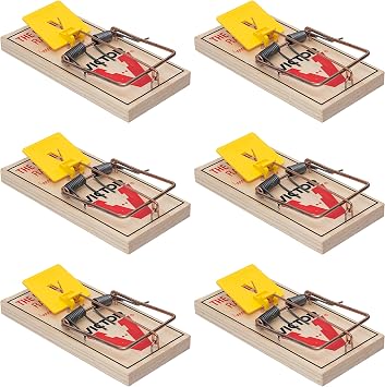 Victor M205-6 Easy Set Plastic Pedal Sustainably Sourced FSC Wood Humane Snap Rat Trap - 6 Wooden Traps