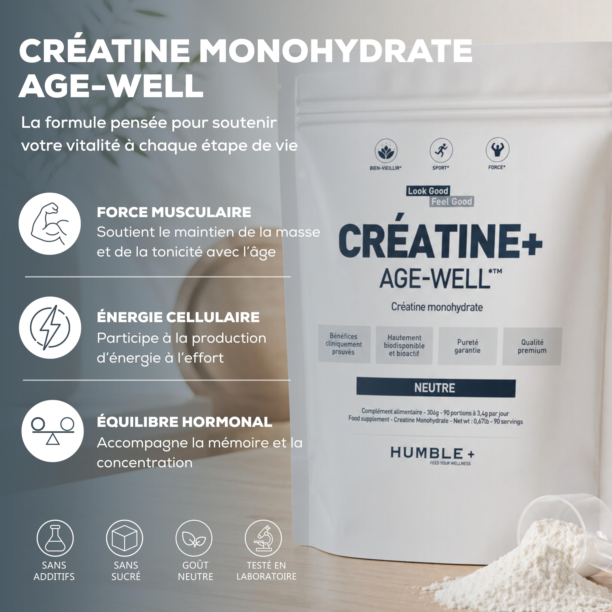 HUMBLE+ Pack Sport Starter - Créatine 306 g + 12 Barres + Protéine 600 g | Monohydrate, Encas Protéinés & Whey aux Peptides Marins Chocolat - Démarrage Entraînement - Marque Française