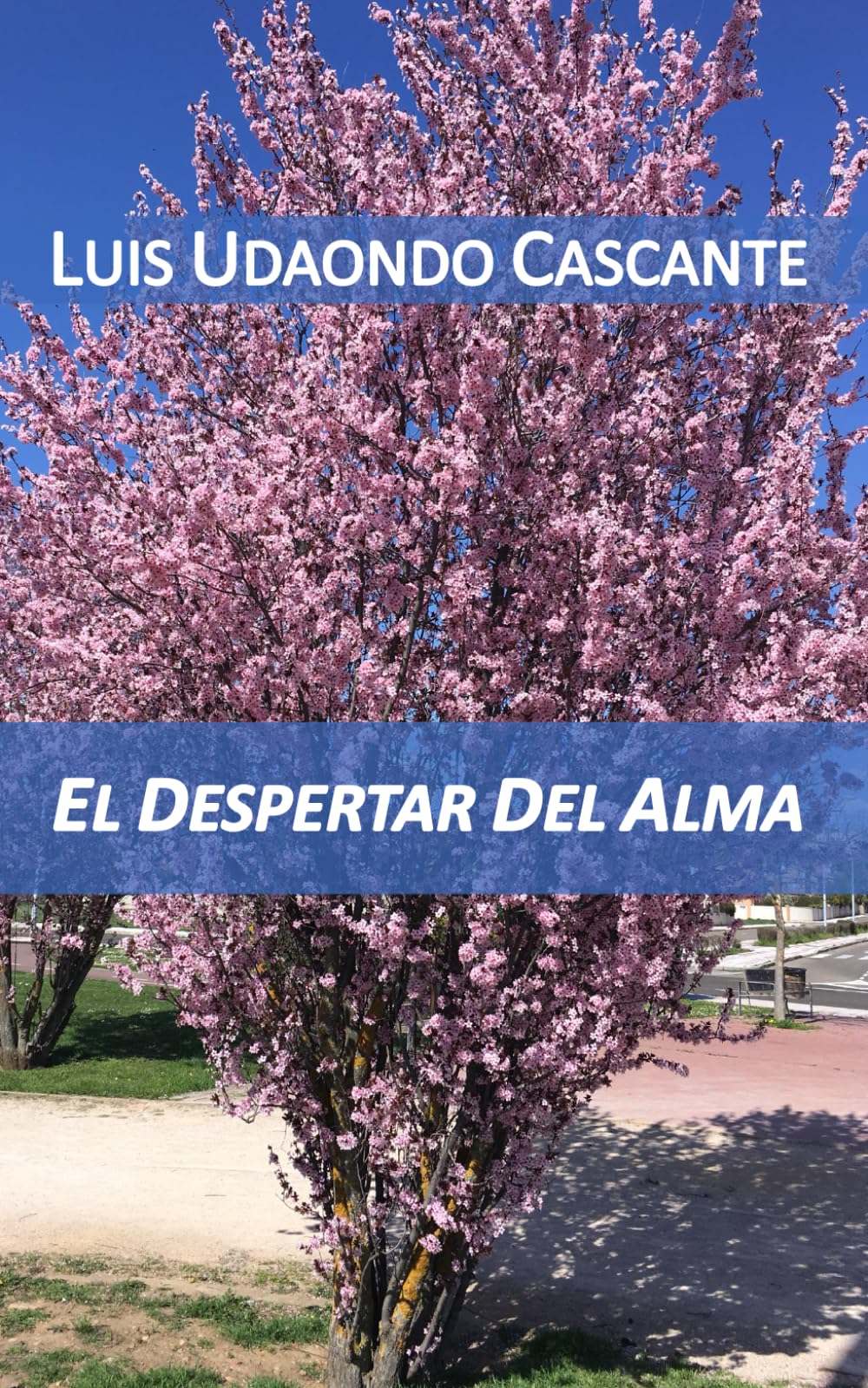 EL DESPERTAR DEL ALMA
