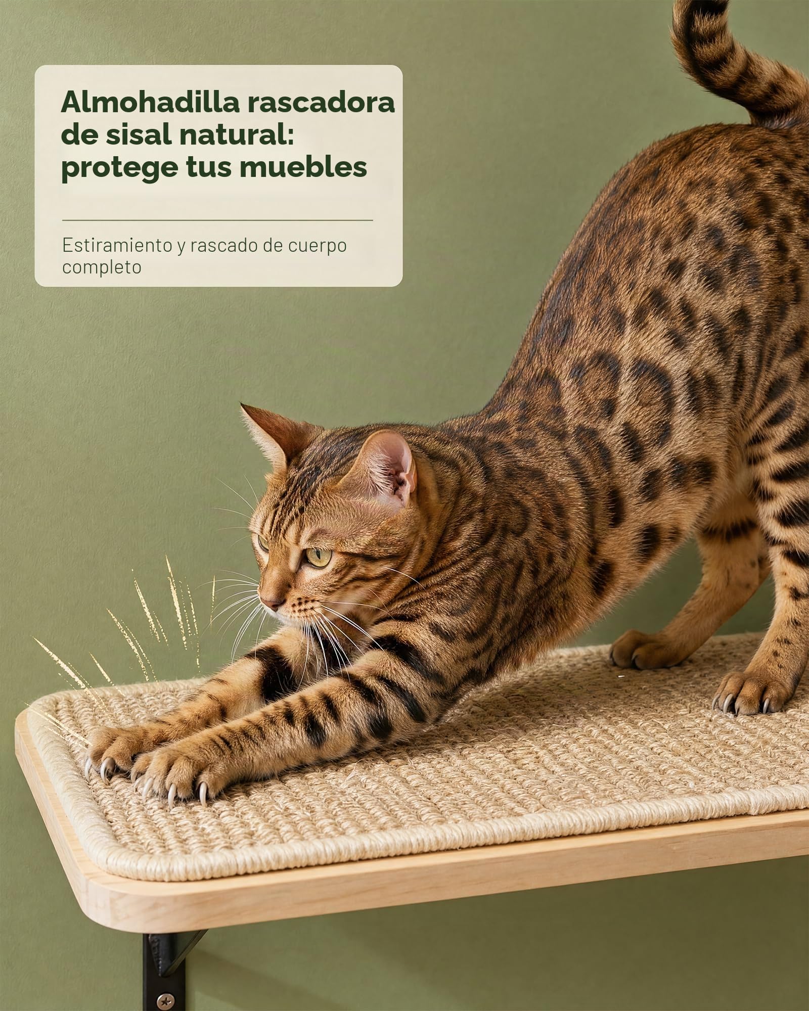 Gatos Escalada Pared Escalera Gato Juego de Pared con 2 Niveles Plataformas Cuadradas y Curvadas, Muebles de Pared de Madera para Gato Montado en Pared Juego para Escalar Jugar Dormir